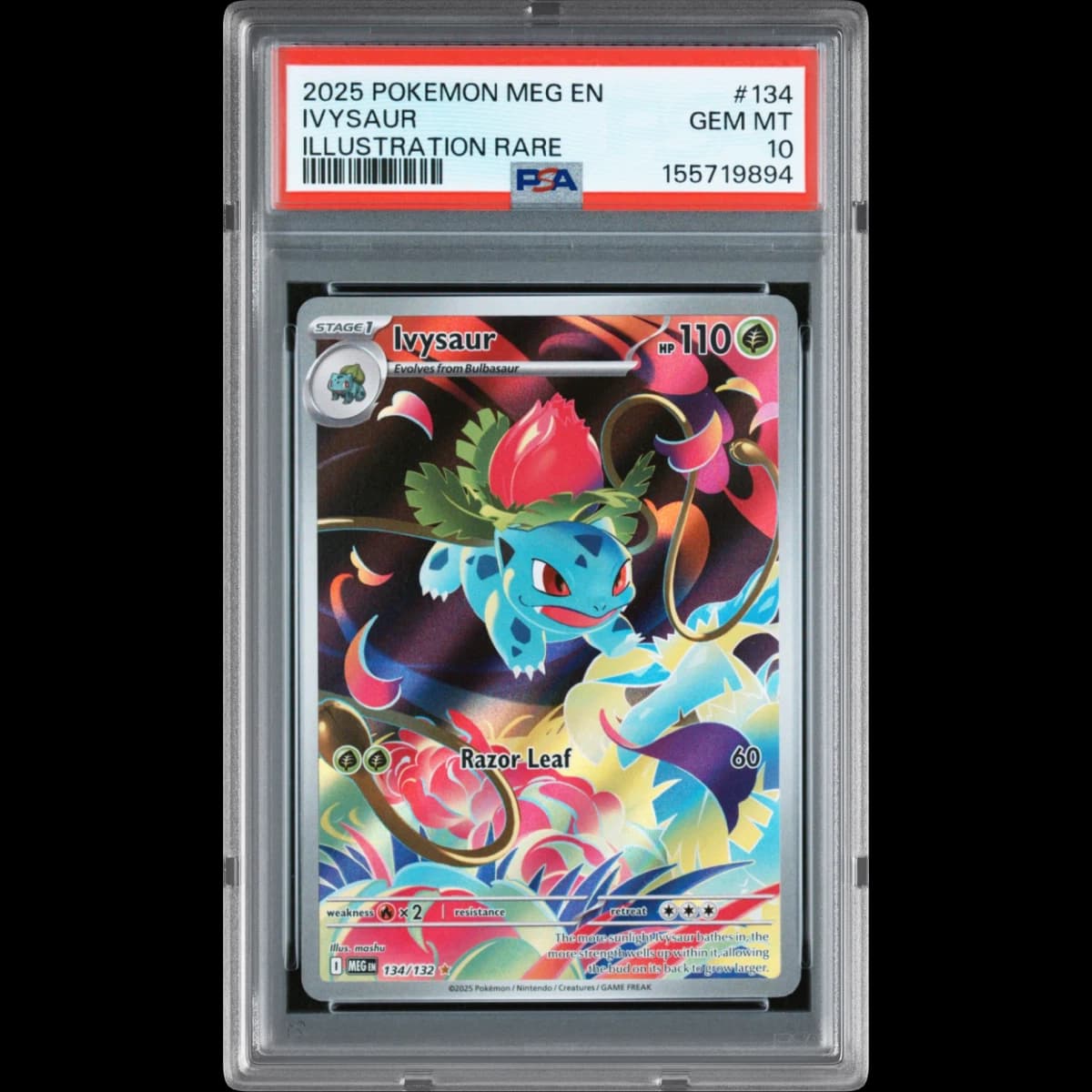 2025 Pokémon Meg EN-Mega Evolution #134 Ivysaur - Illustration Rare (PSA 10 GEM MINT)